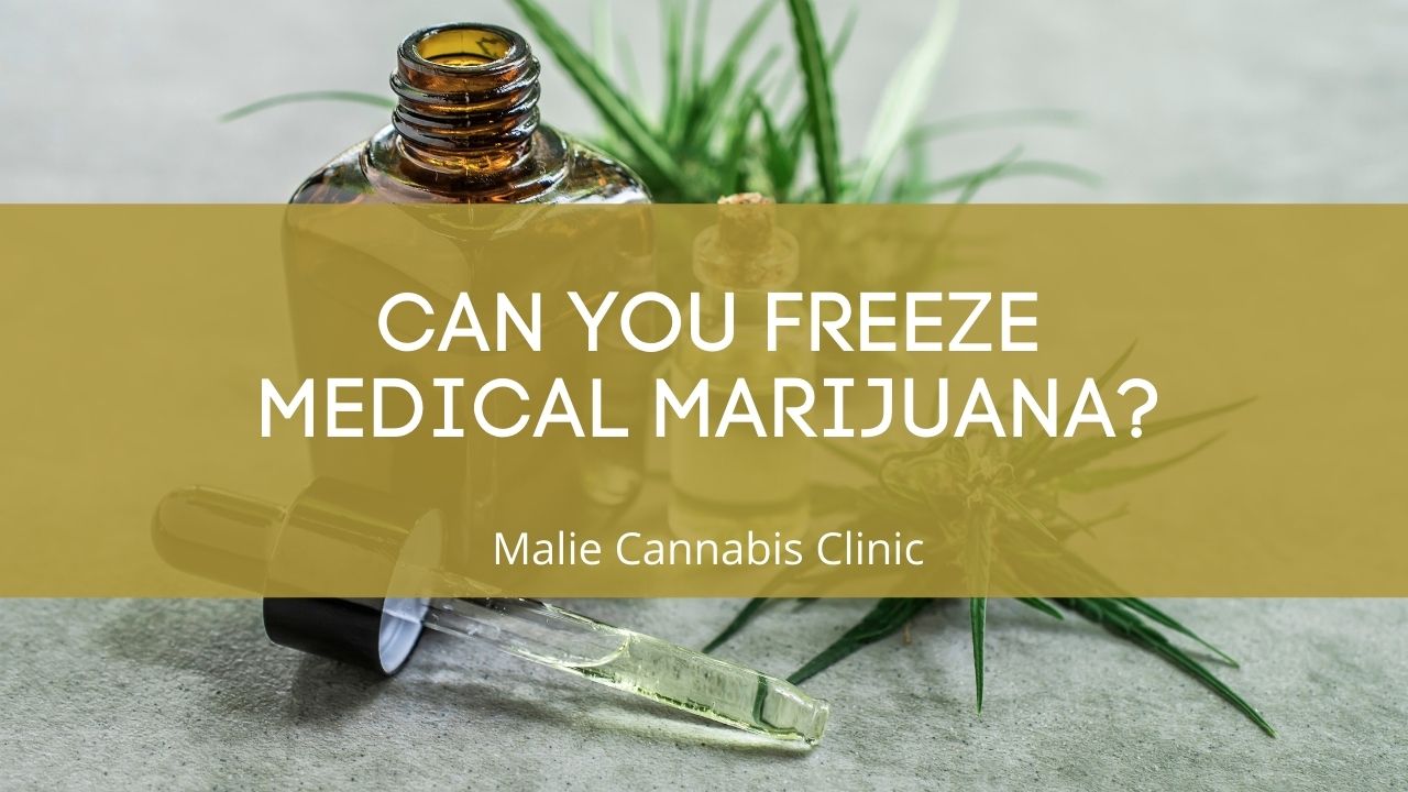 Can You Freeze Medical Marijuana?